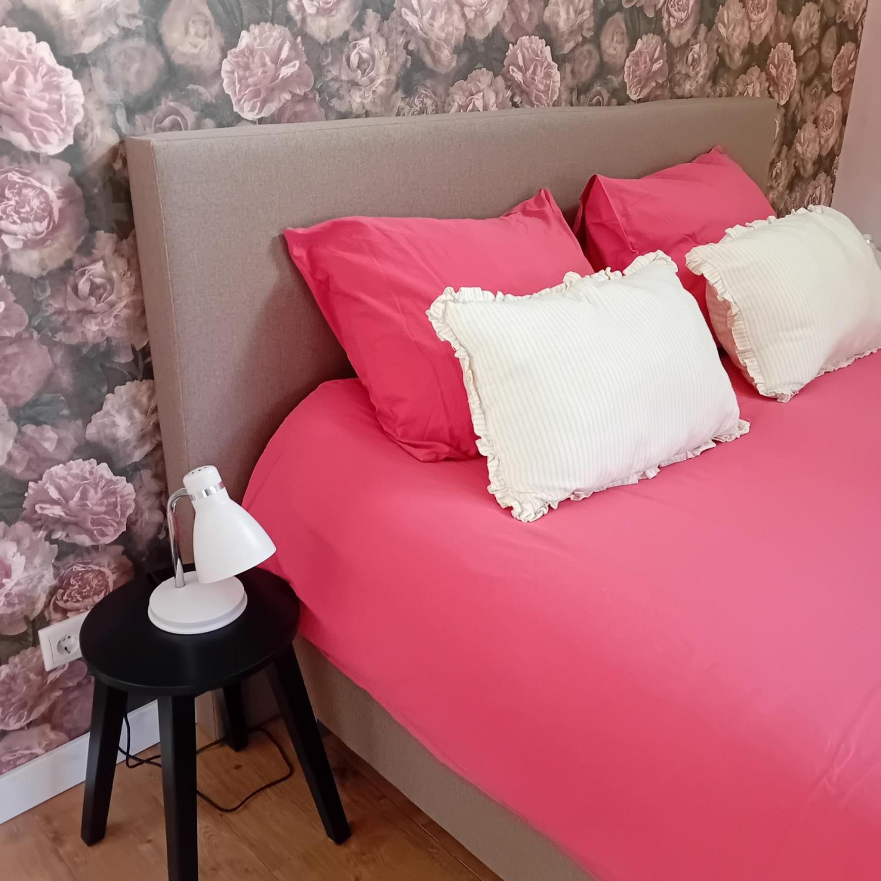 Boukje Har Bed En Brochje Bed and Breakfast Burgum Εξωτερικό φωτογραφία